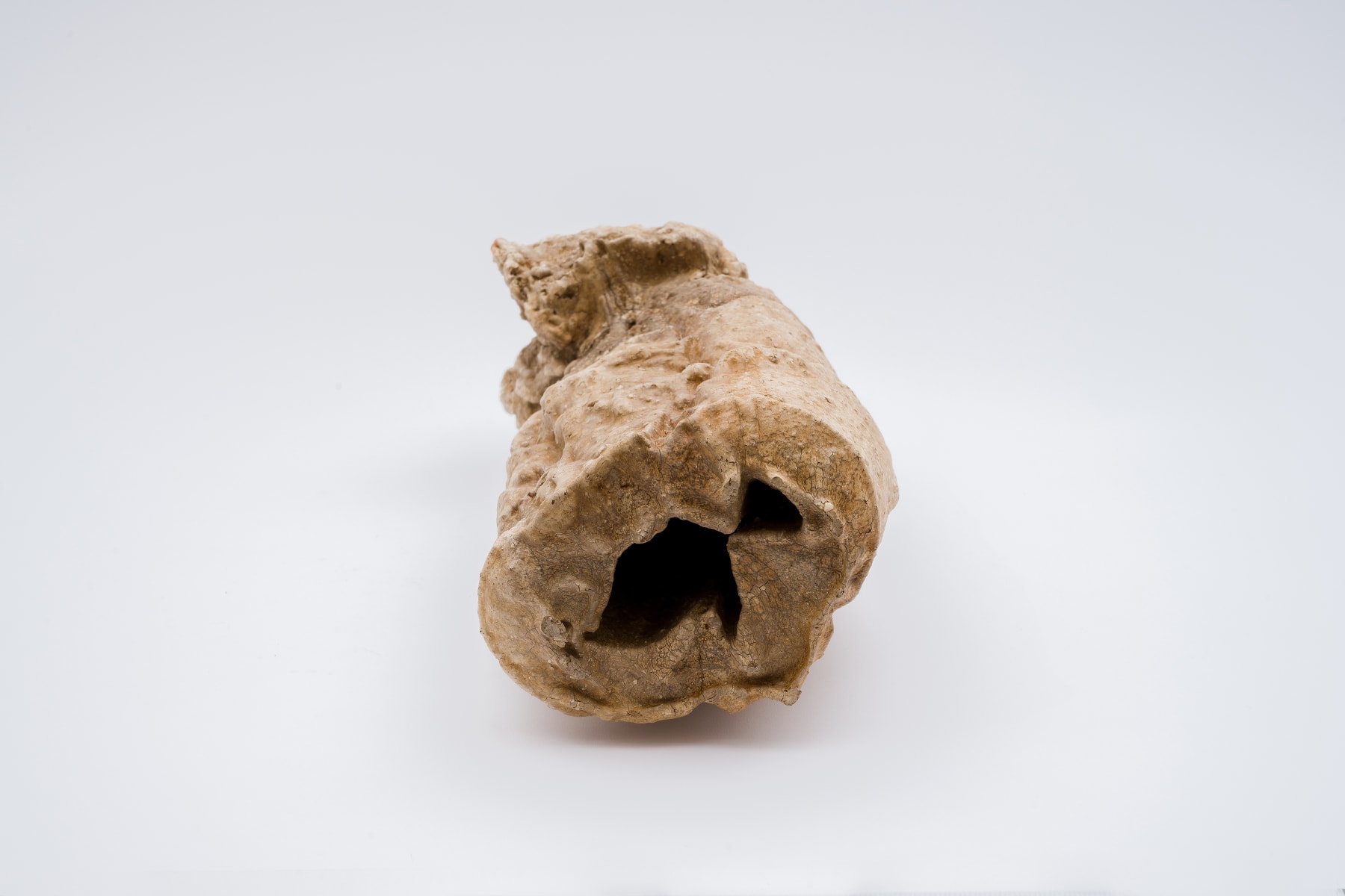 Keita Matsunaga, cocoon, 2021