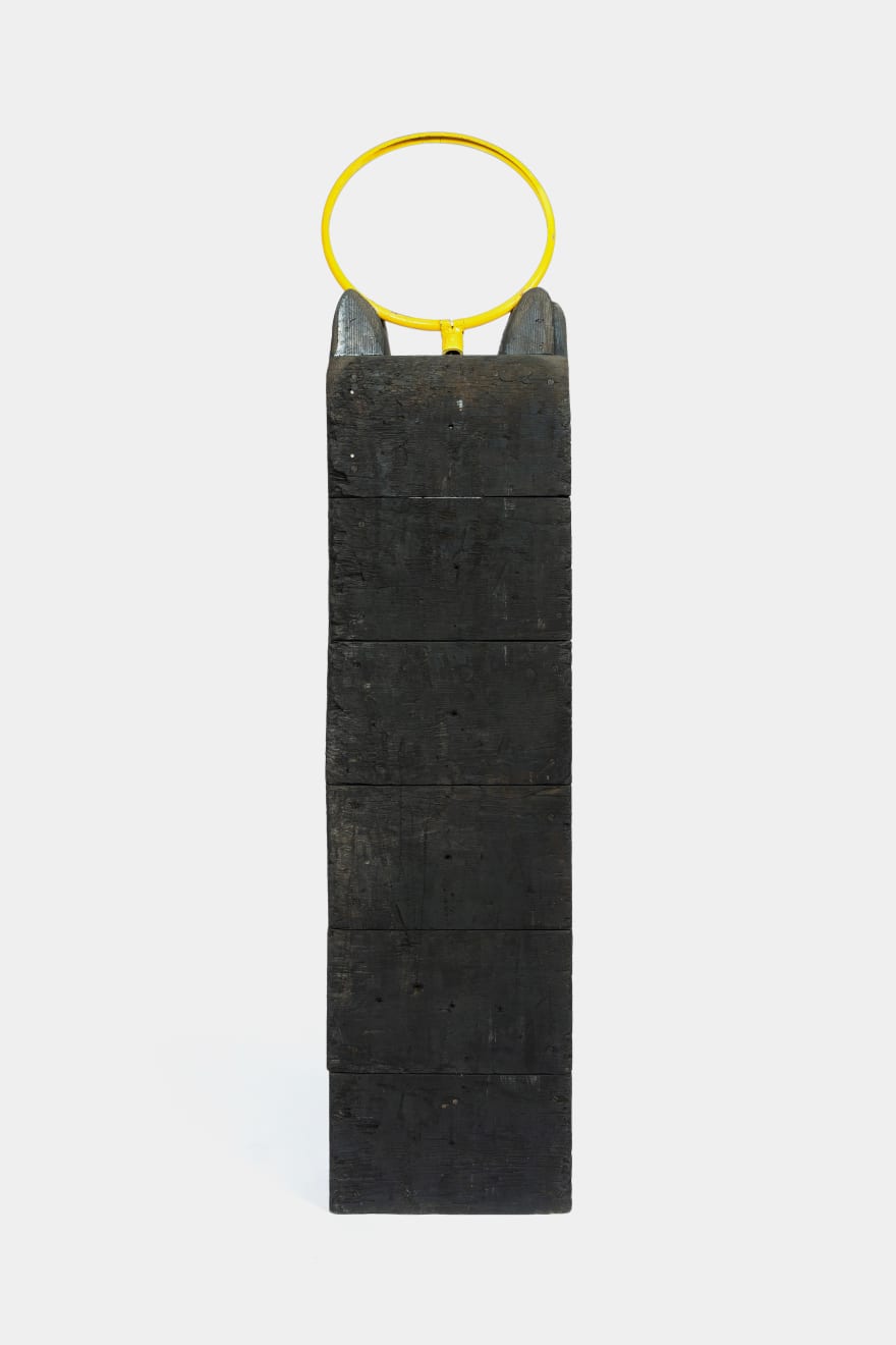 Kenzi Shiokava, Angel Kachina, 2003