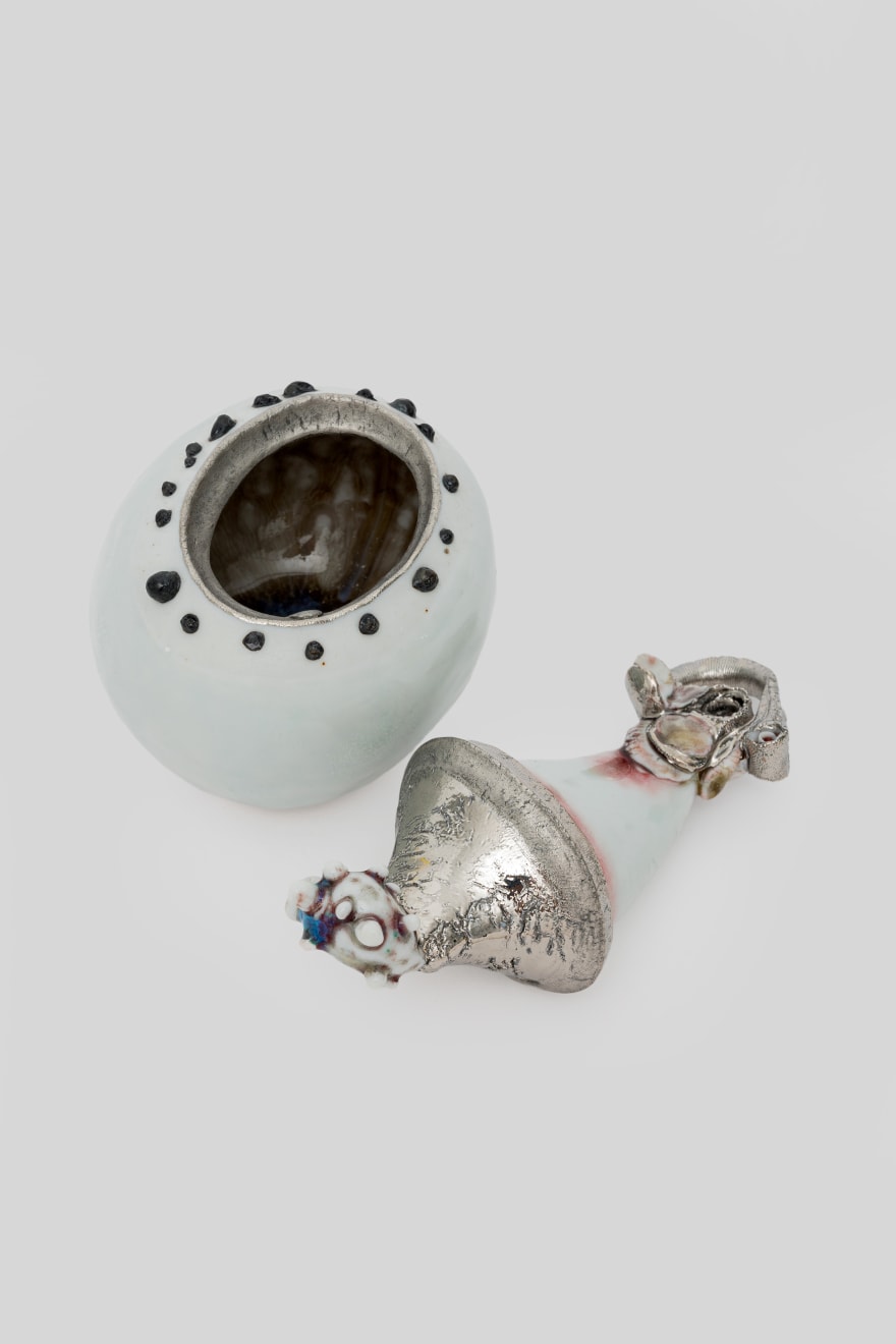 Kentaro Kawabata, seed , 2021