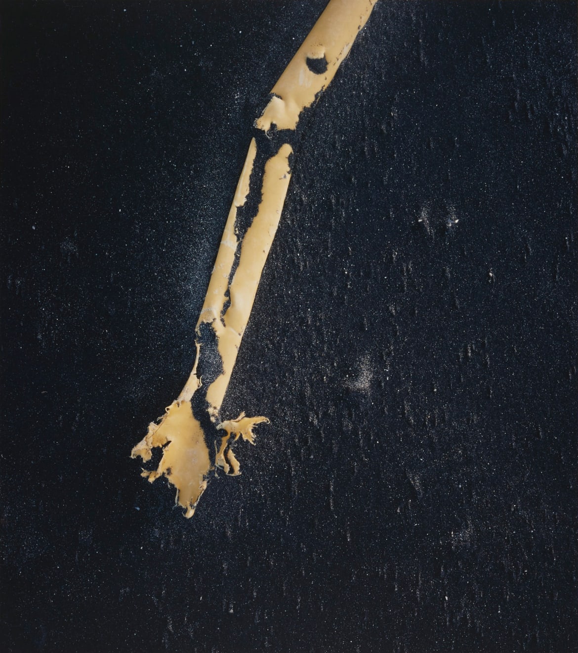 Shomei Tomatsu, Plastics, Kujukuri Beach, Chiba, 1988-89/1989