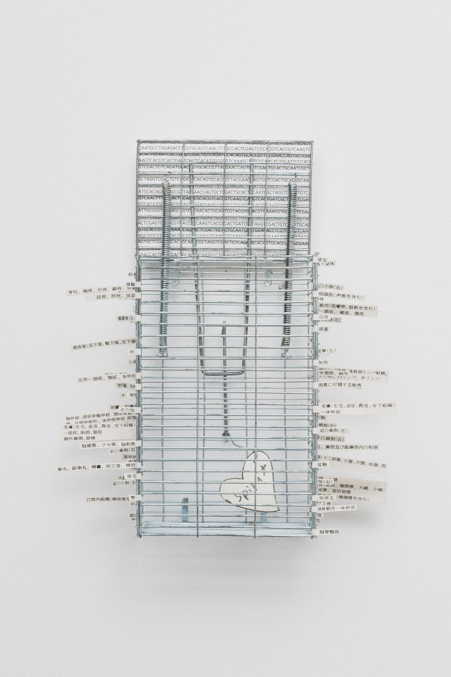 Shuzo Azuchi Gulliver, La dolce vita / A.T.C.G.(reality is sweet), Kyoto version, 2004