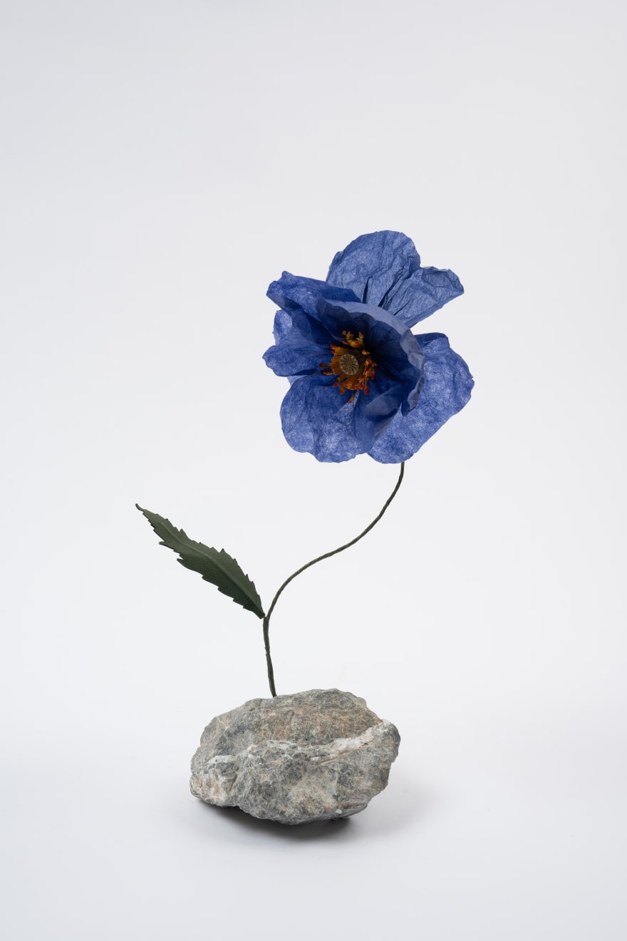 Megumi Shinozaki, Poppy, 2023