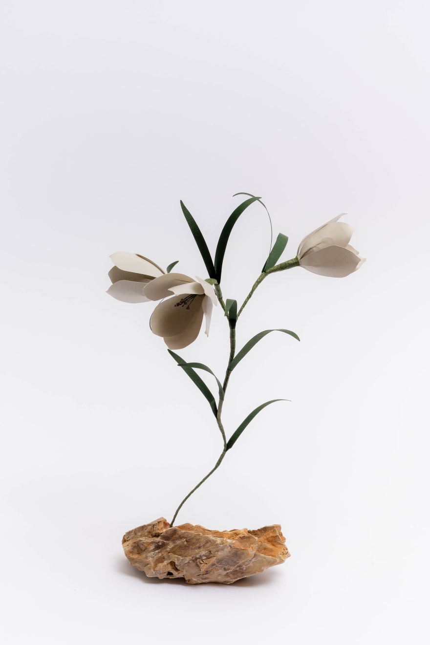 Megumi Shinozaki: edenworks, Fritillaria, 2022