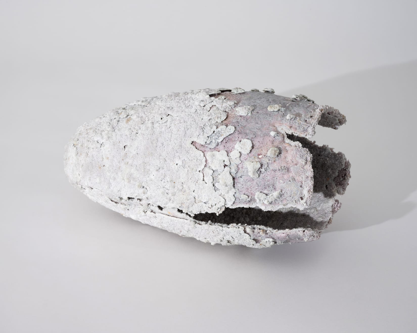 Masaomi Yasunaga, 殻 / molted shell, 2019