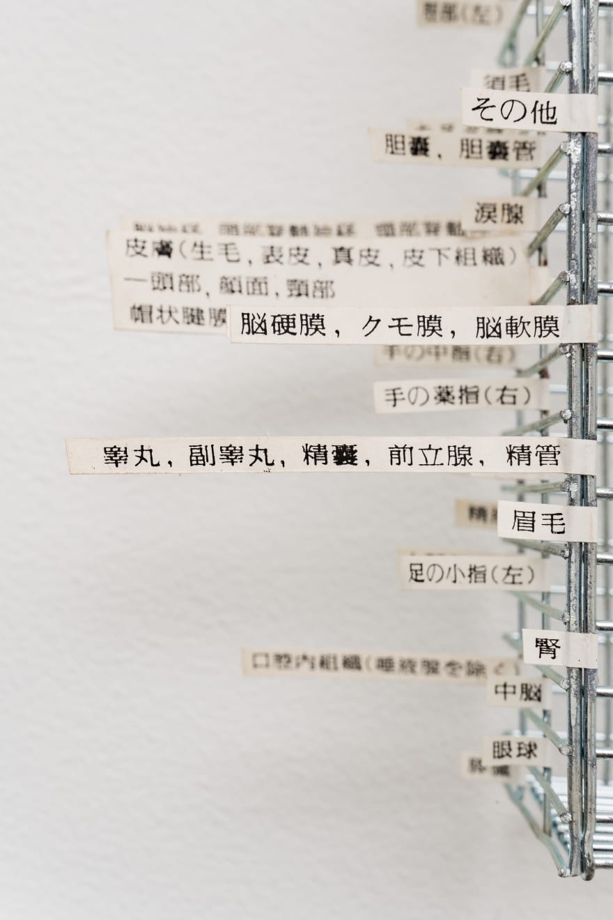 Shuzo Azuchi Gulliver, La dolce vita / A.T.C.G.(reality is sweet), Kyoto version, 2004