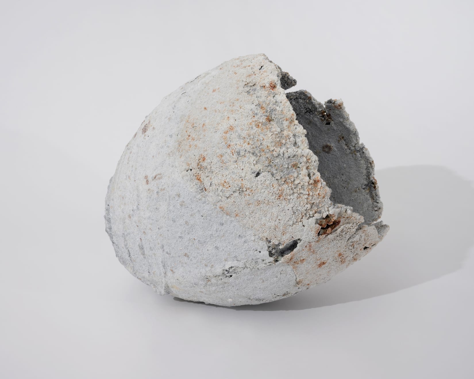 Masaomi Yasunaga, 殻 / molted shell, 2019