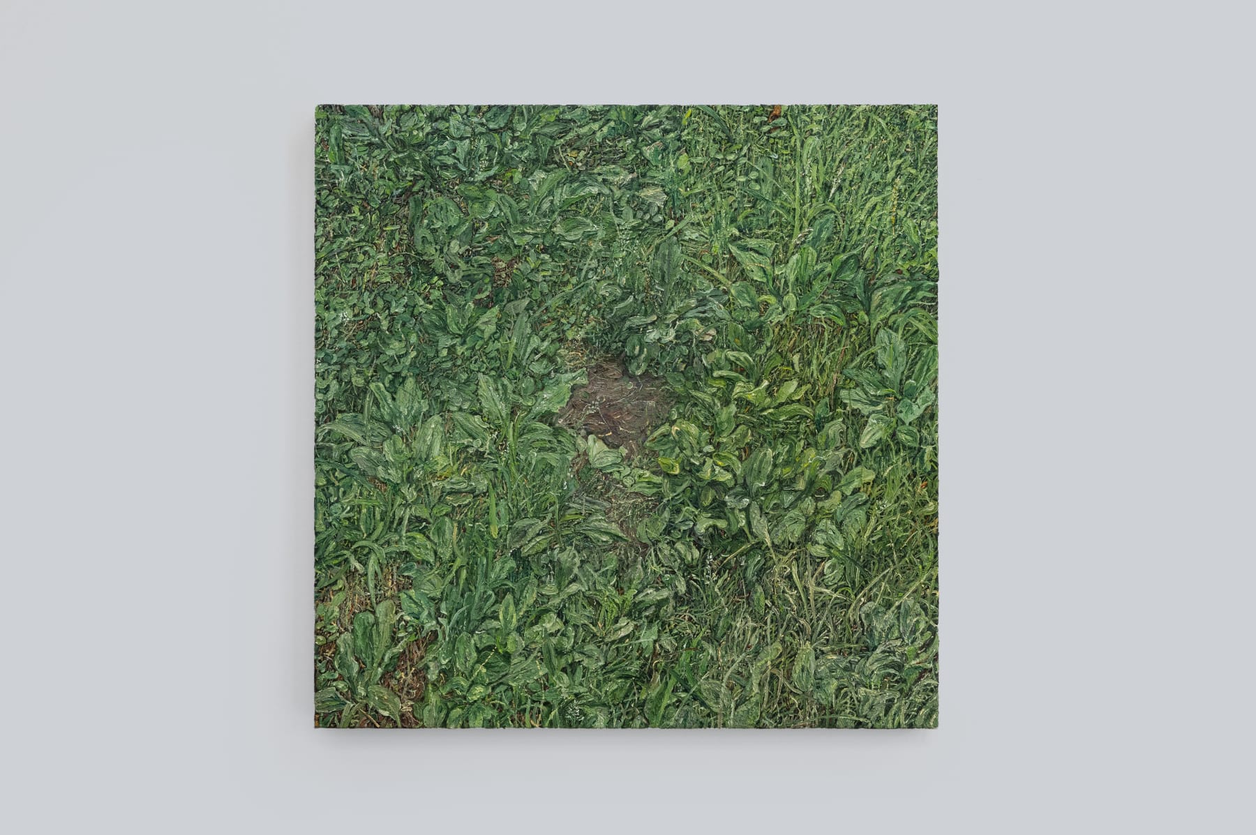 Takeshi Honda, 夏草 I (庭), 2019