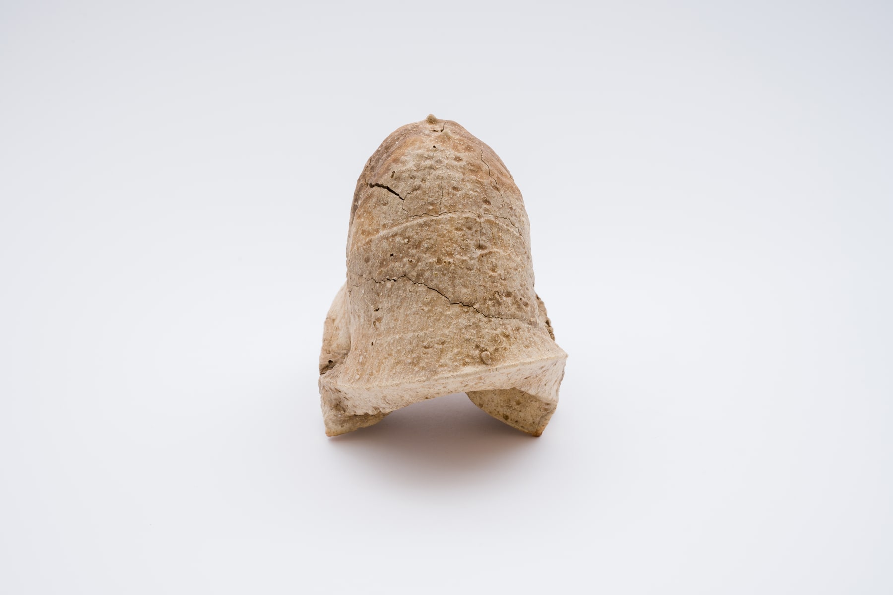 Keita Matsunaga, Cocoon, 2021