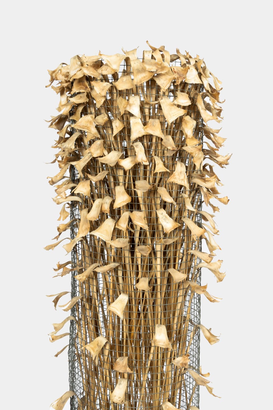 Kenzi Shiokava, Untitled, 2005