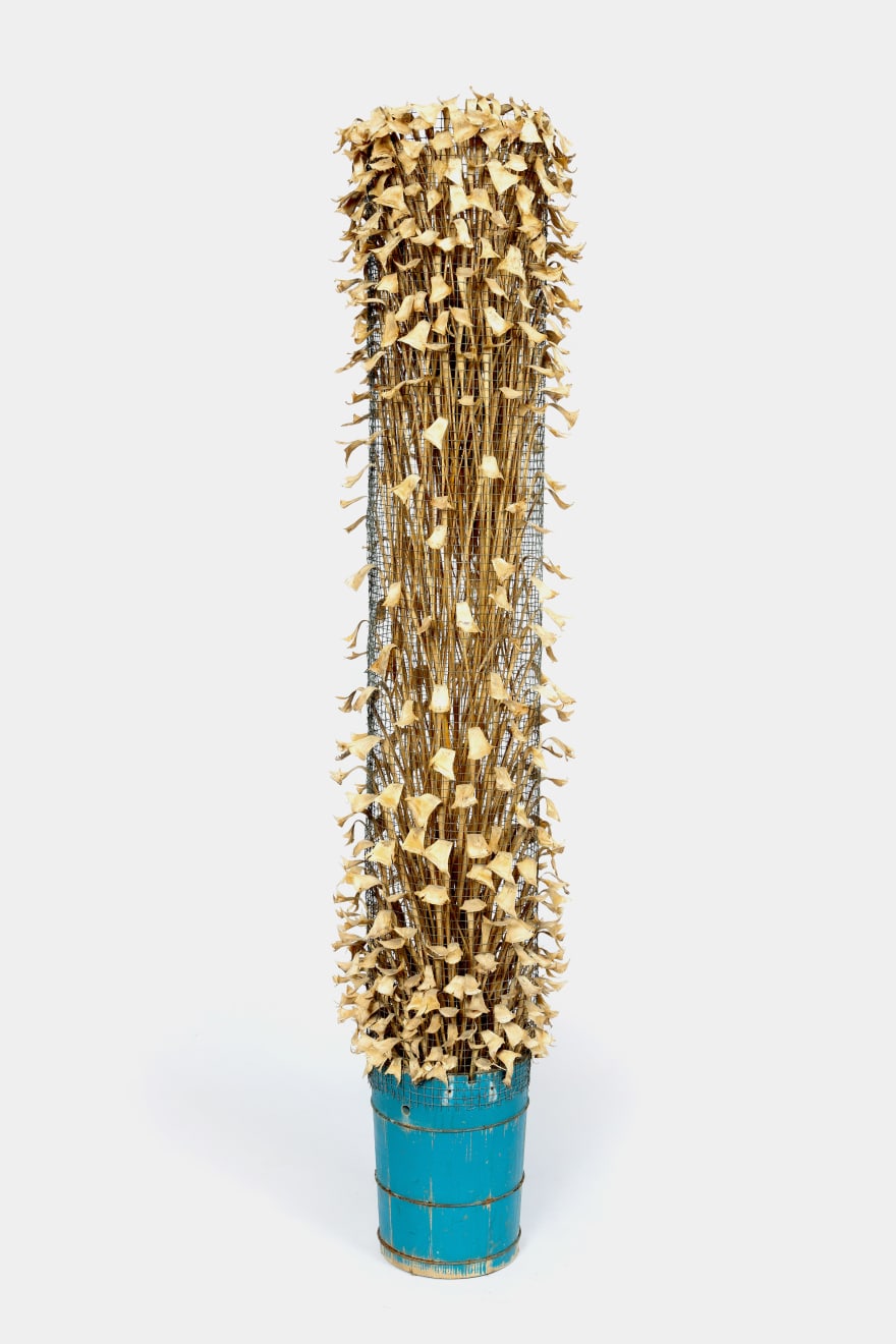 Kenzi Shiokava, Untitled, 2005