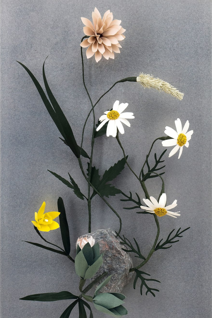 Megumi Shinozaki, Growth