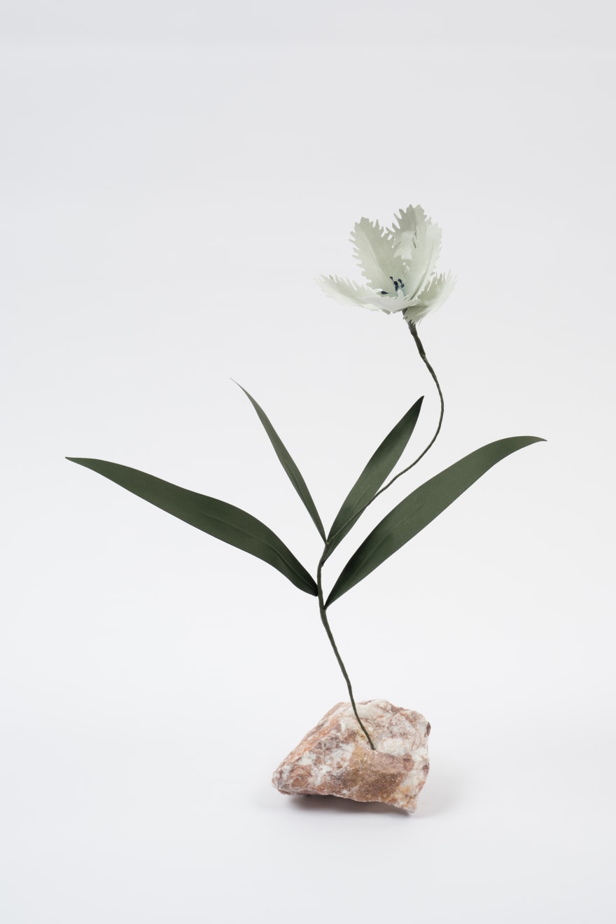 Megumi Shinozaki, Tulip, 2023
