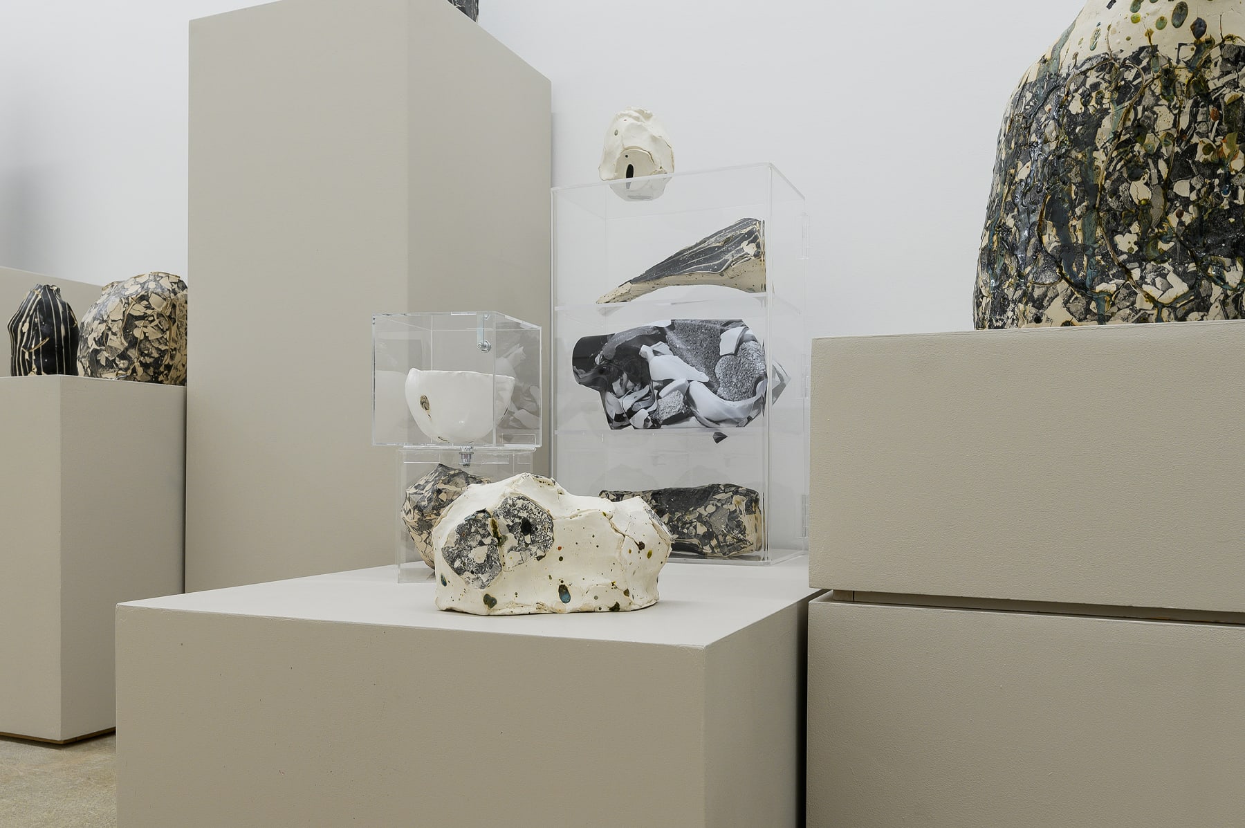 Keita Matsunaga, Organism, 2019