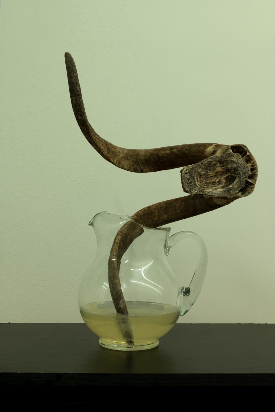 Michael E Smith, Untitled, 2022