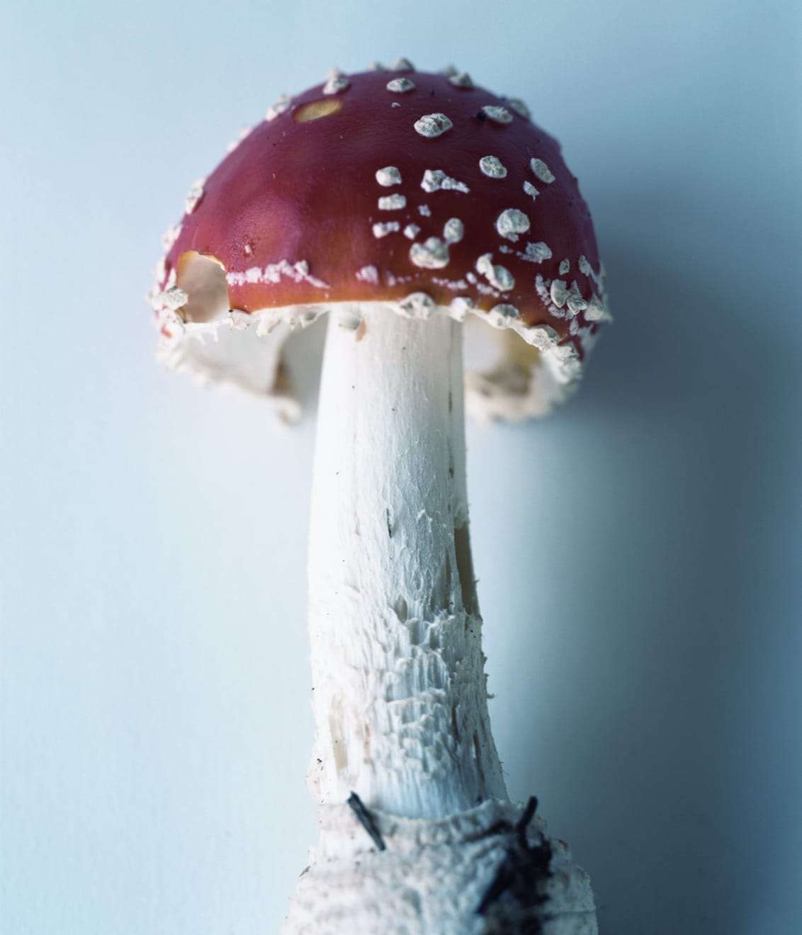 Takashi Homma, Scandinavia #9, 2015