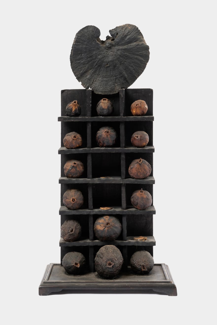 Kenzi Shiokava, Sources, 1969