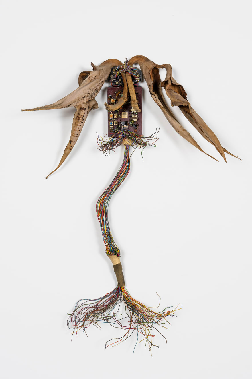 Kenzi Shiokava, Untitled, n.d.