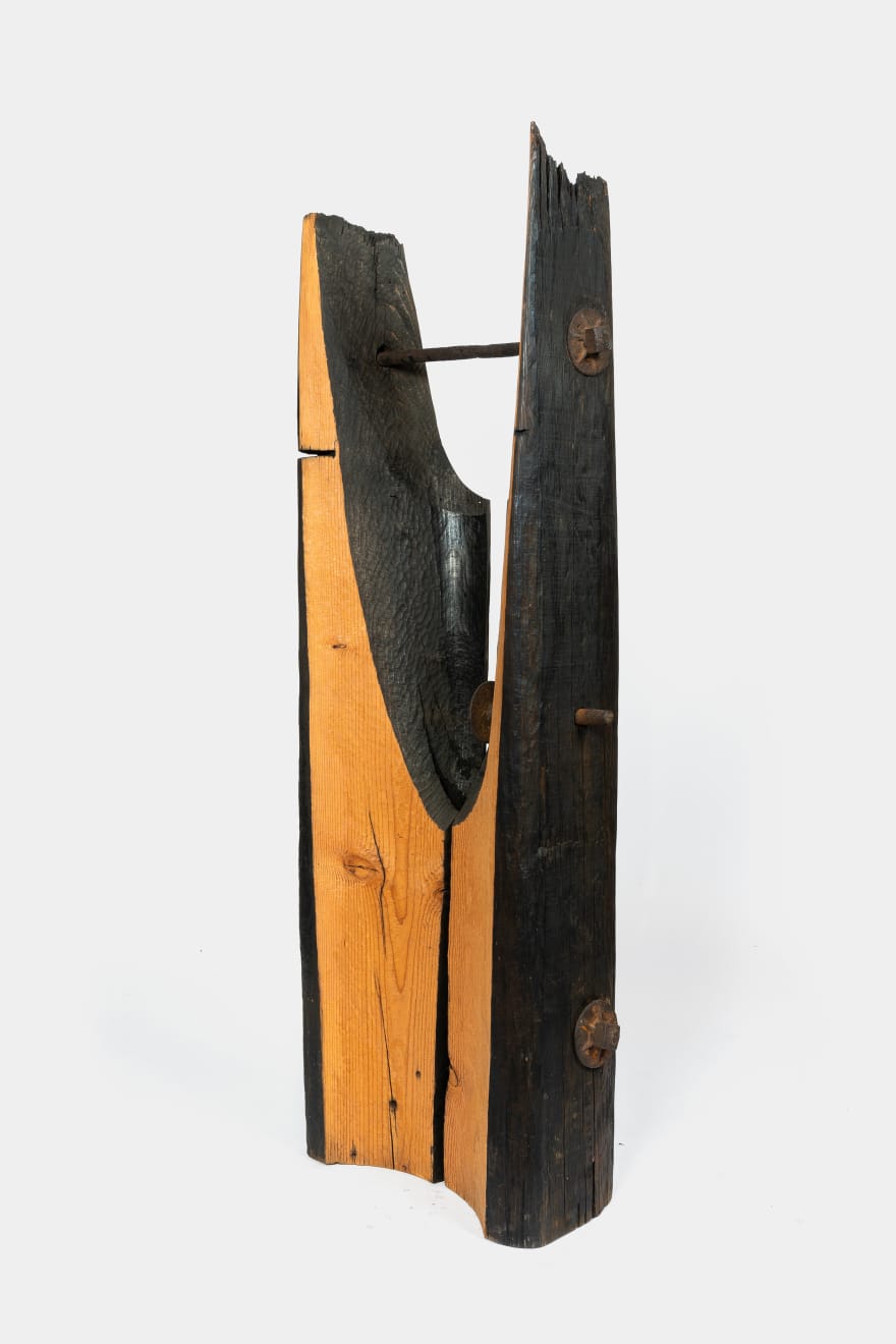 Kenzi Shiokava, Untitled (Santa Monica Pier), 1986