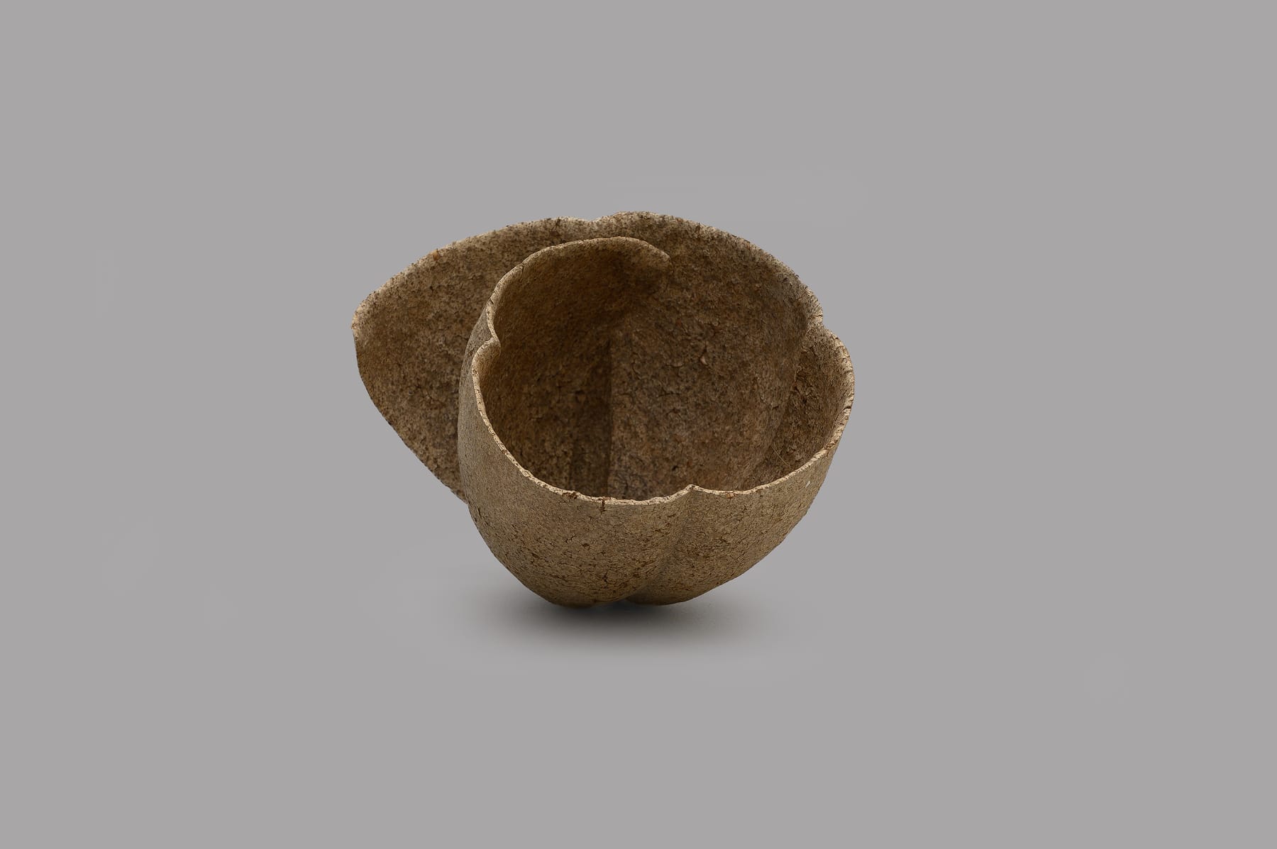 Keita Matsunaga, 手話 (B) - Shuwa (B), 2019