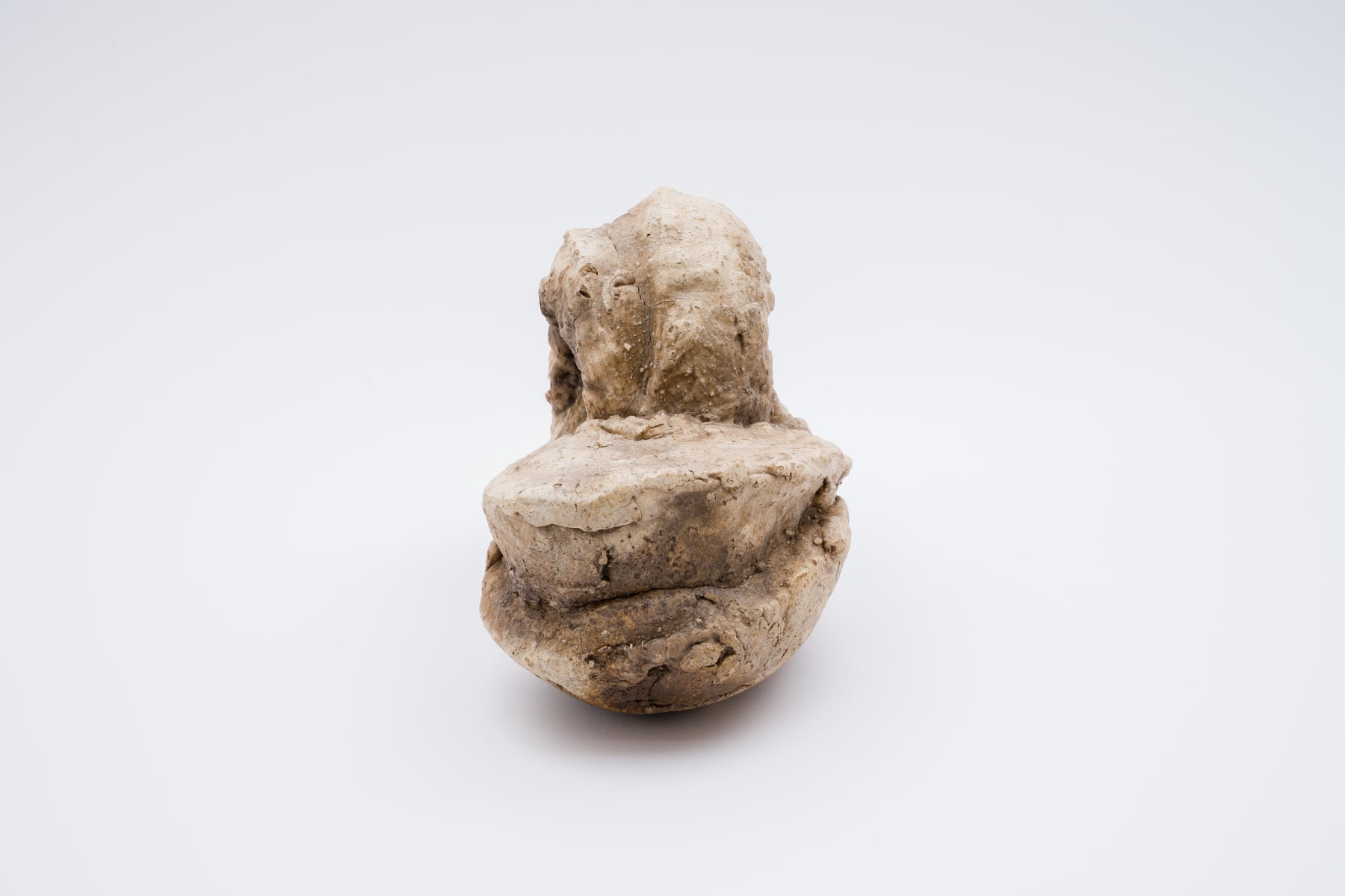Keita Matsunaga, Cocoon, 2021