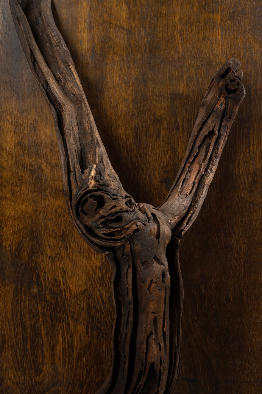Kenzi Shiokava, Untitled, n.d.