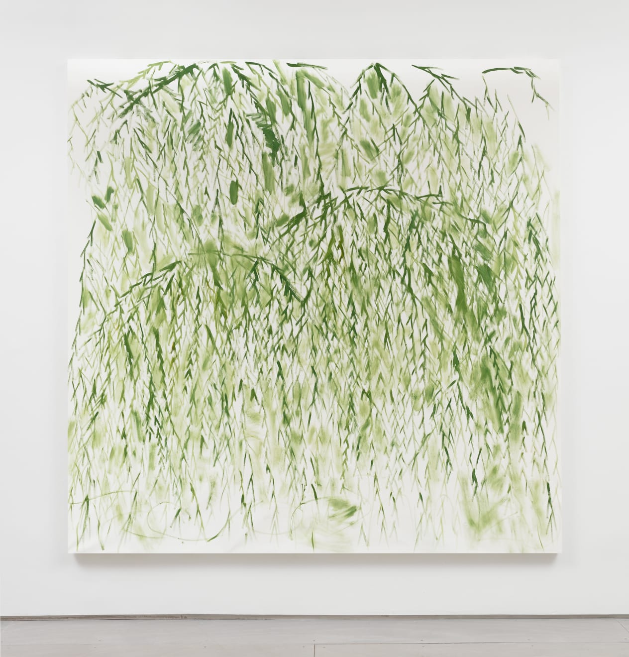 Trevor Shimizu, Weeping Willow (7), 2019