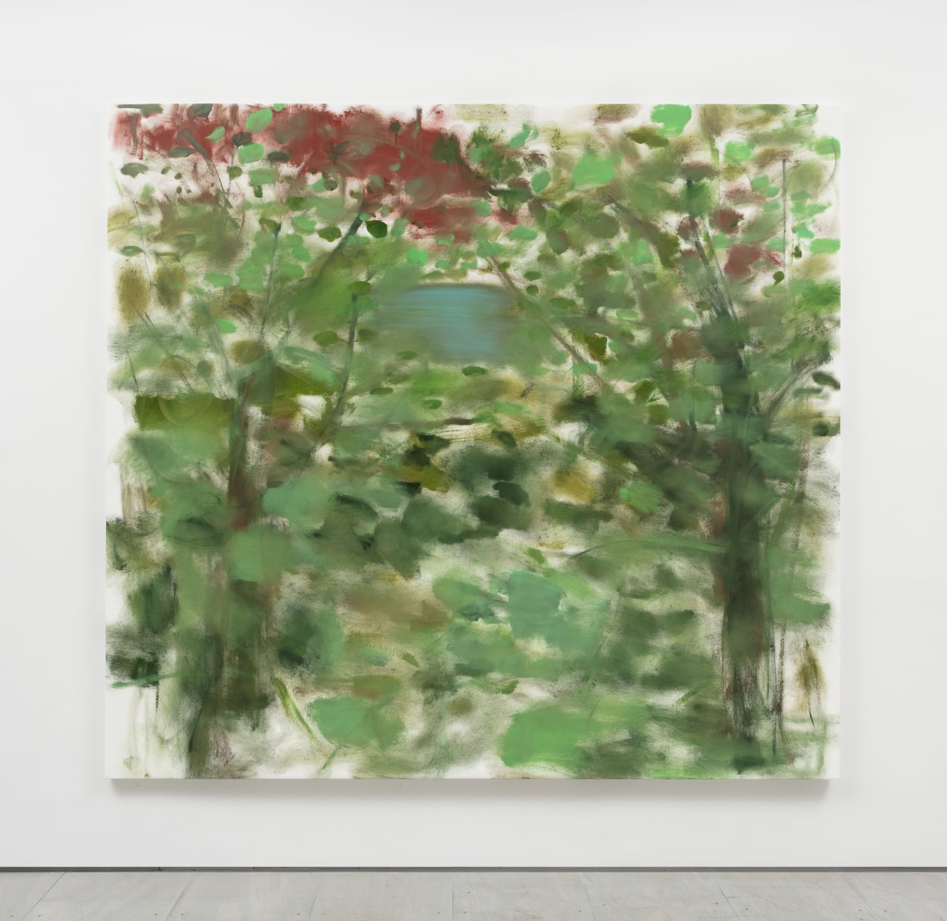 Trevor Shimizu, Water Through Trees, 2020