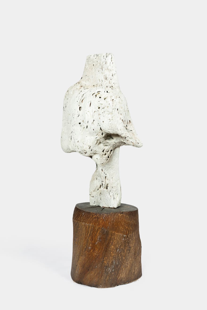 Kenzi Shiokava, Untitled, 2017