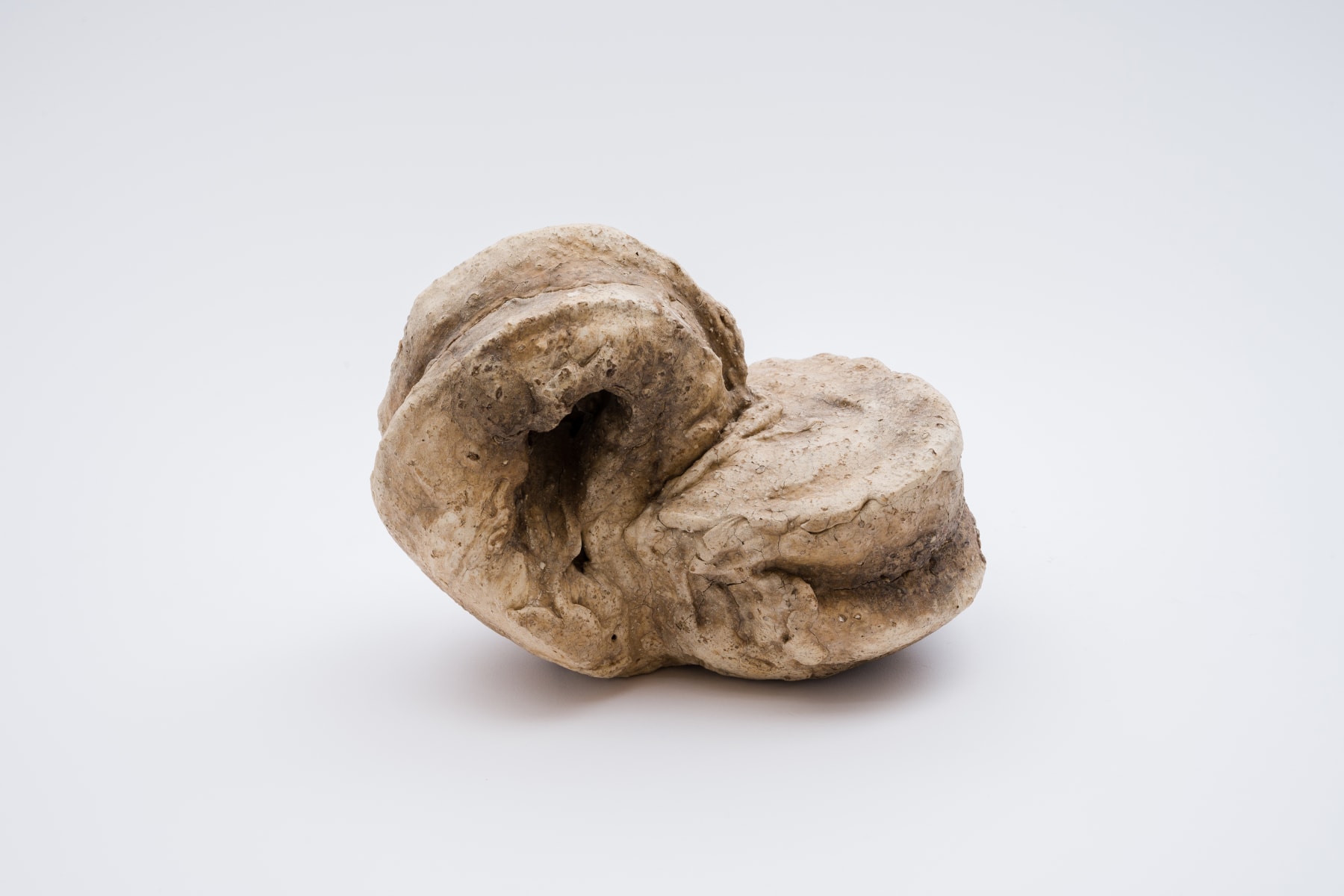 Keita Matsunaga, Cocoon, 2021