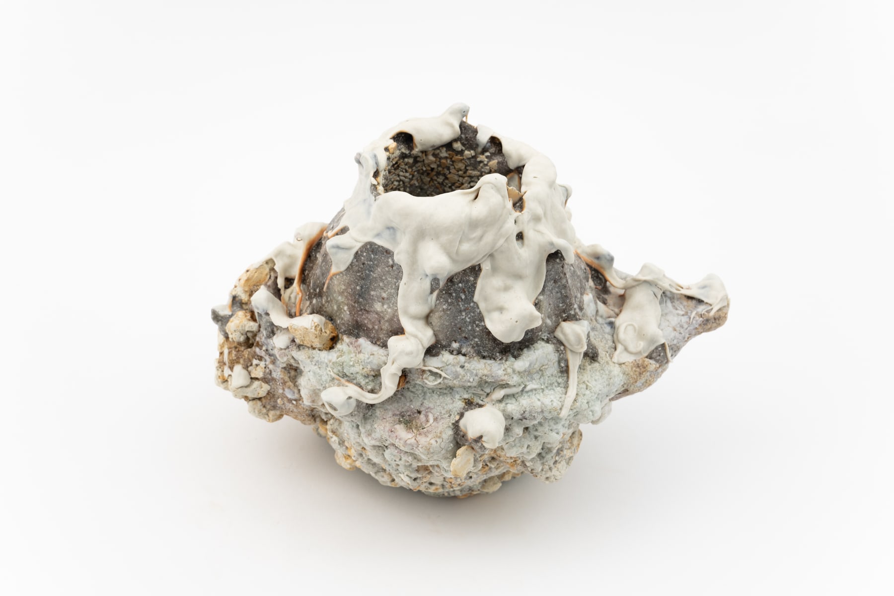 Masaomi Yasunaga, Shredded Bark of Tree, 2023