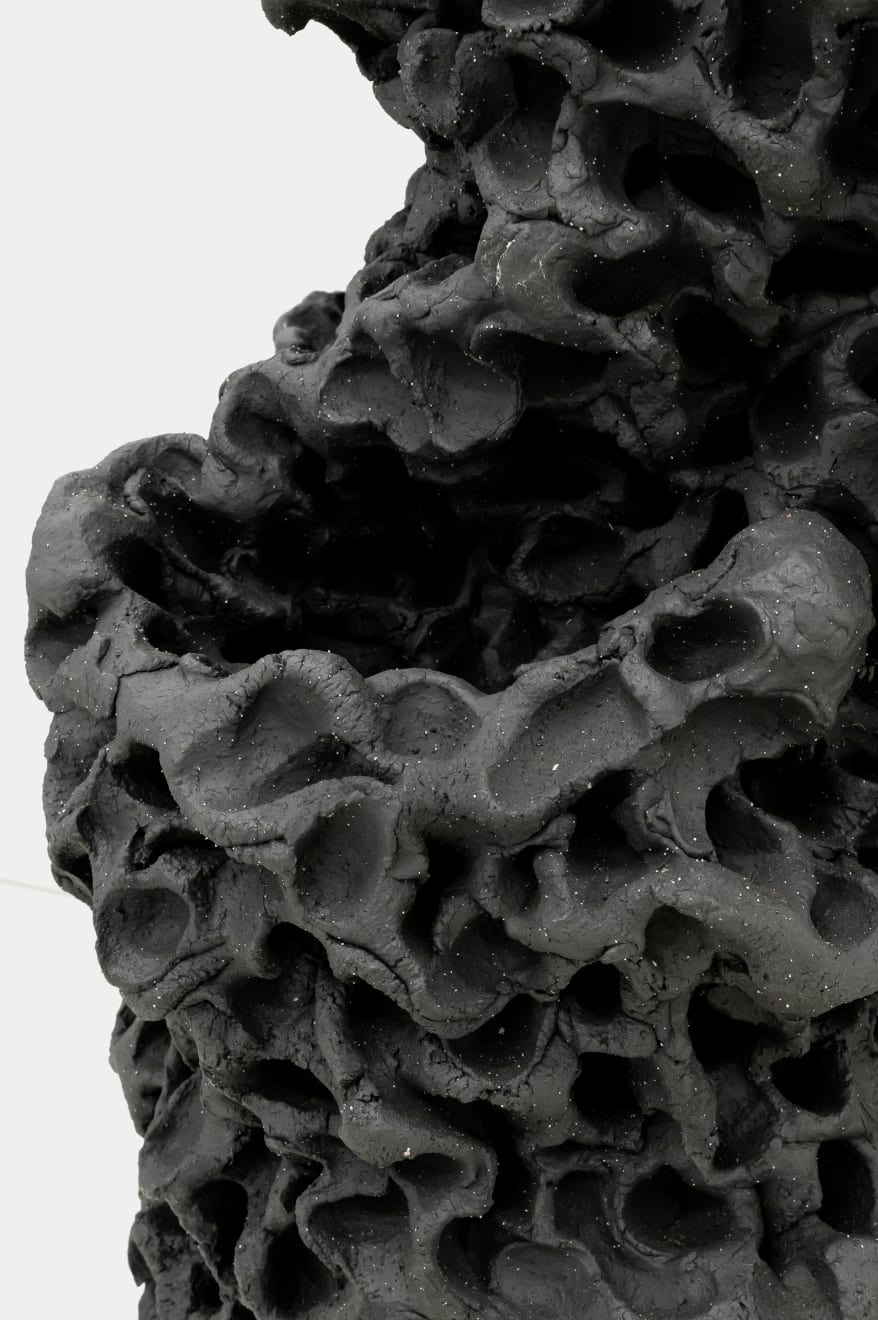 Satoru Hoshino, Frozen Cloud No. 2 / 凍雲 No.2, 2001