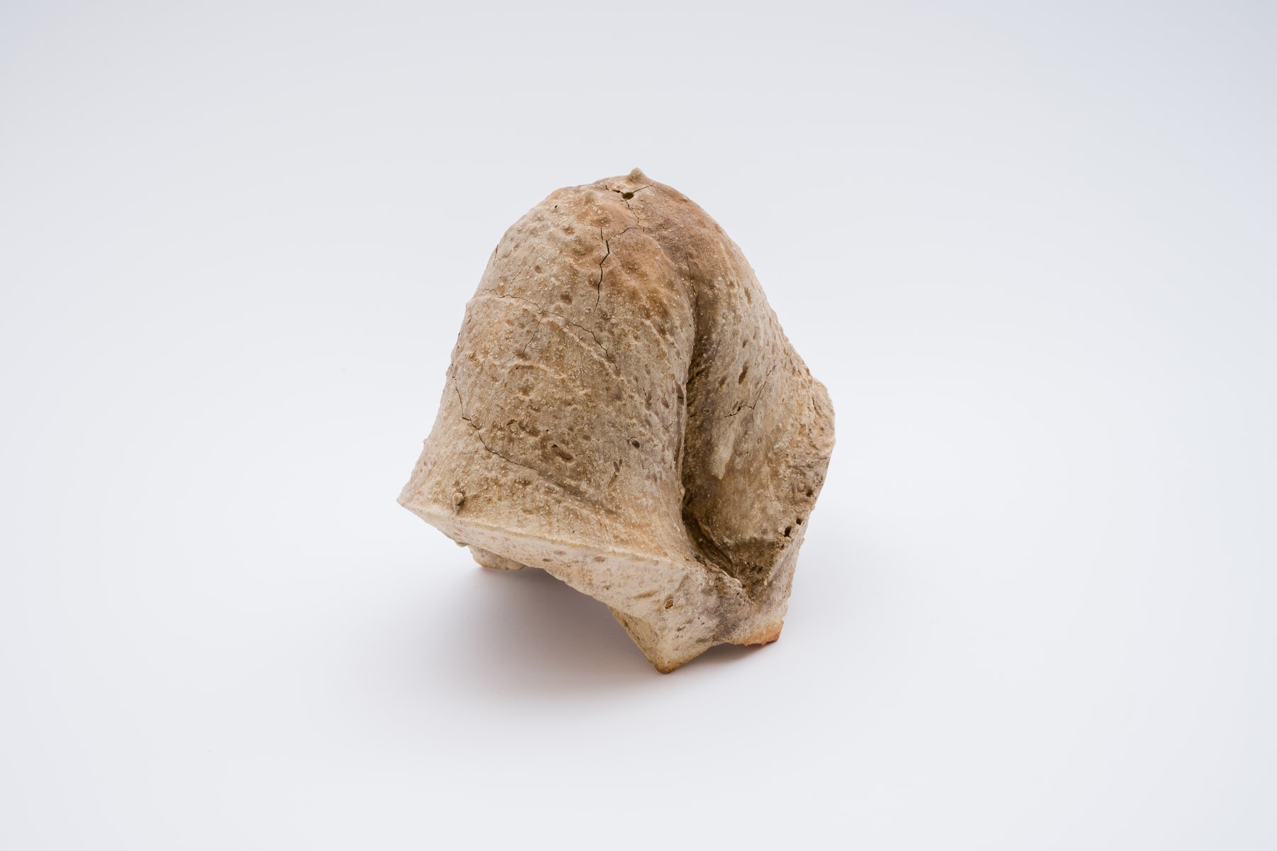 Keita Matsunaga, Cocoon, 2021