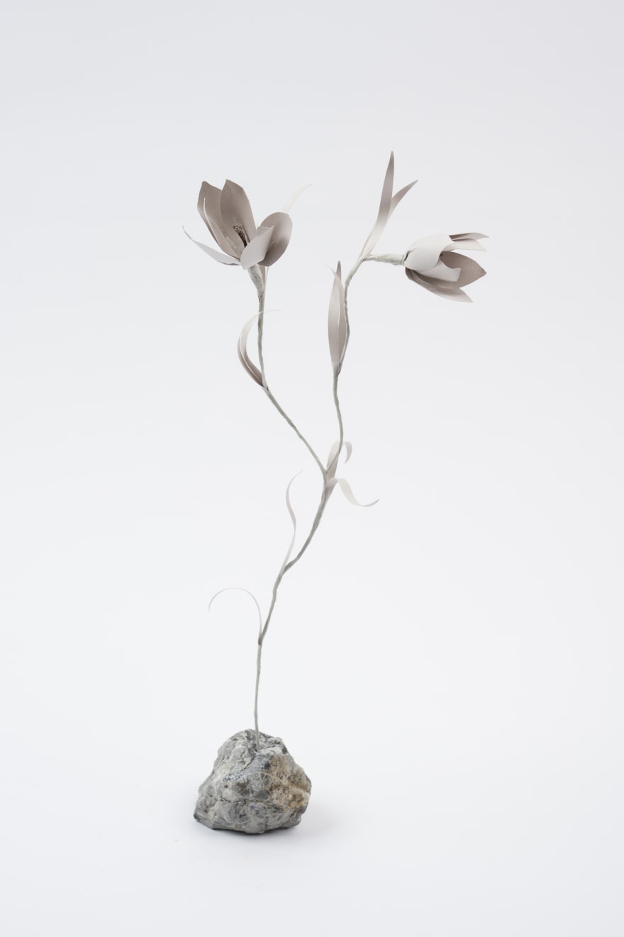 Megumi Shinozaki, Fritillary, 2023