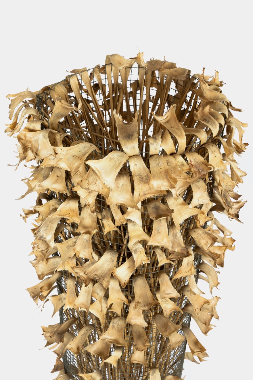 Kenzi Shiokava, Untitled, 2005