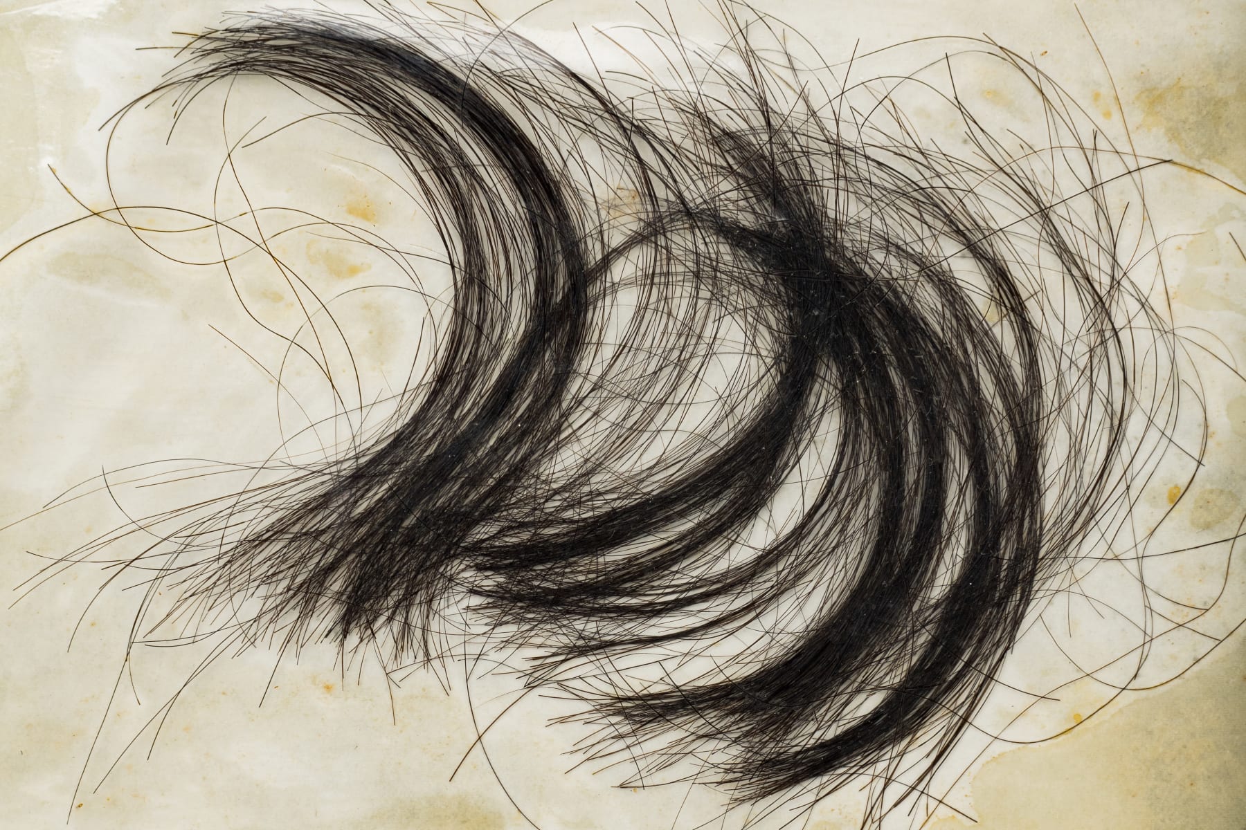 Shuzo Azuchi Gulliver, Three colored pencils (Document) #1-Hairs, 1975