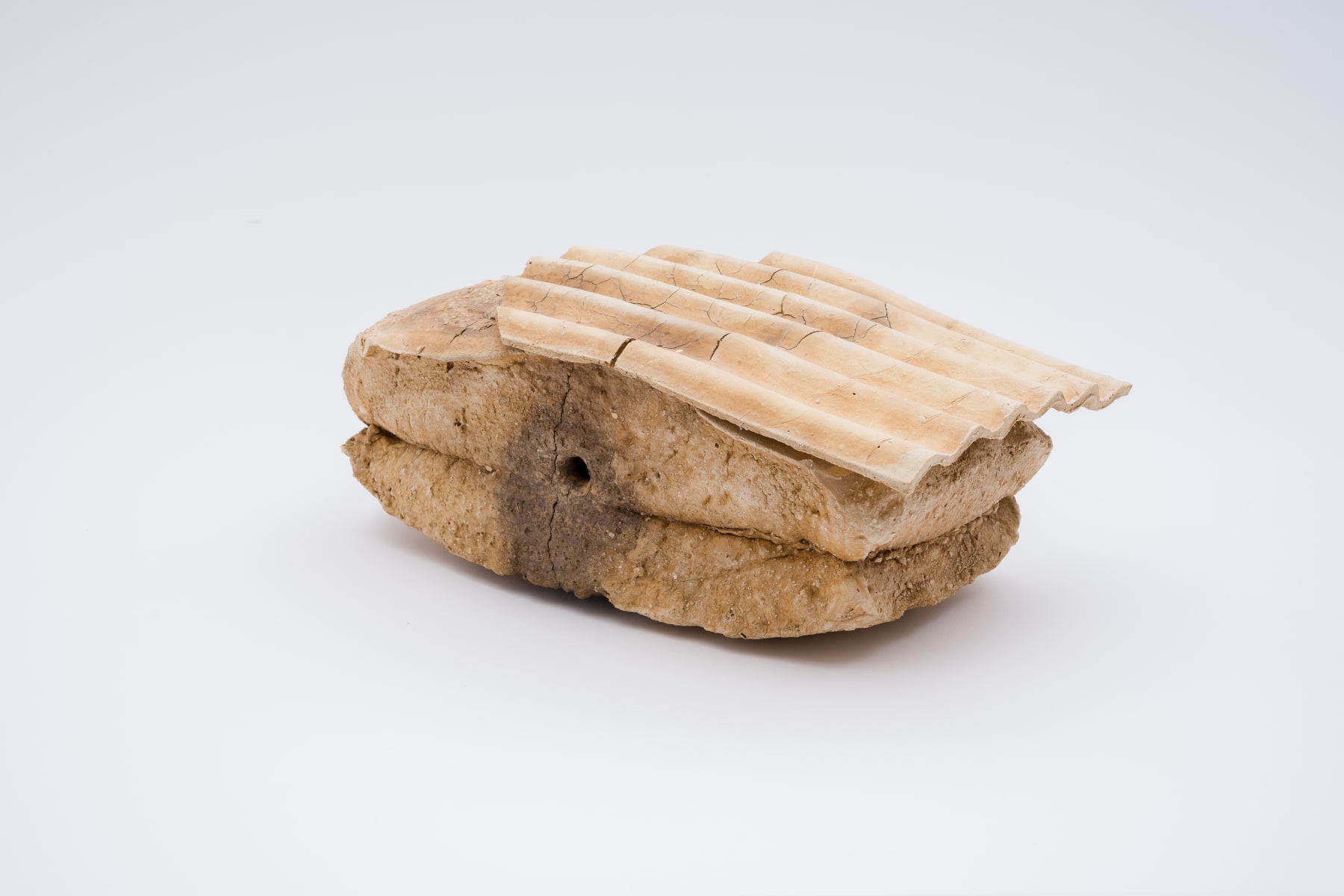 Keita Matsunaga, Cocoon, 2021