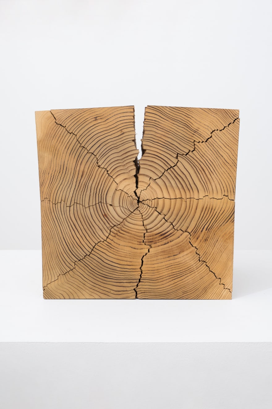 Kazuo Kadonaga, Wood No. 11 BX, 1982