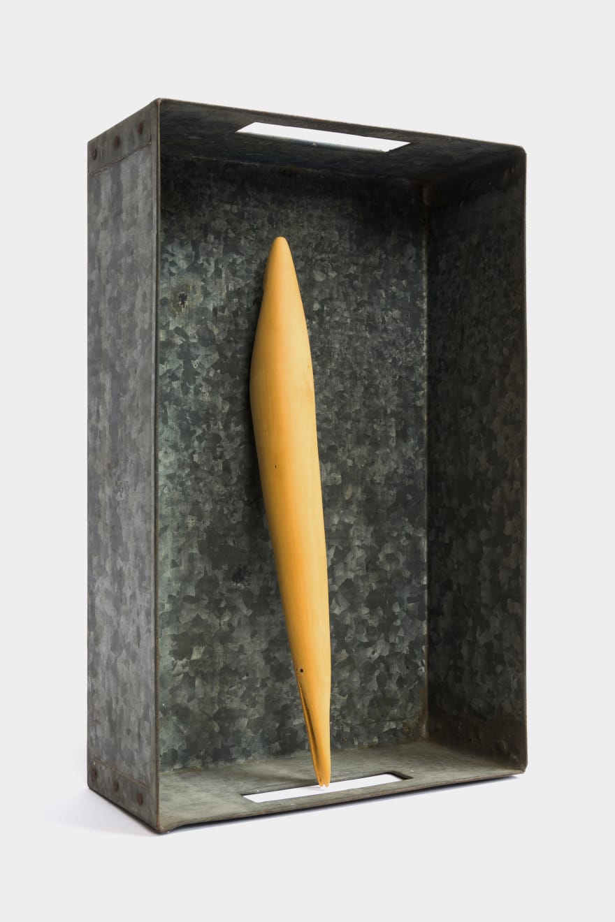 Kenzi Shiokava, Flight, 1998