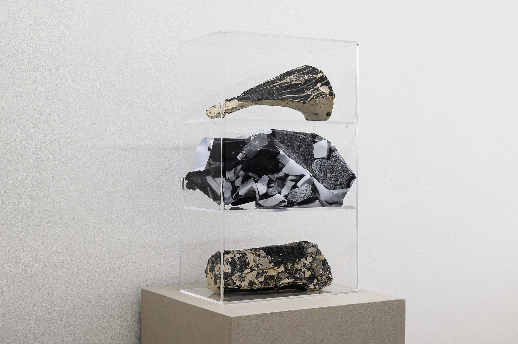 Keita Matsunaga, Organism, 2019