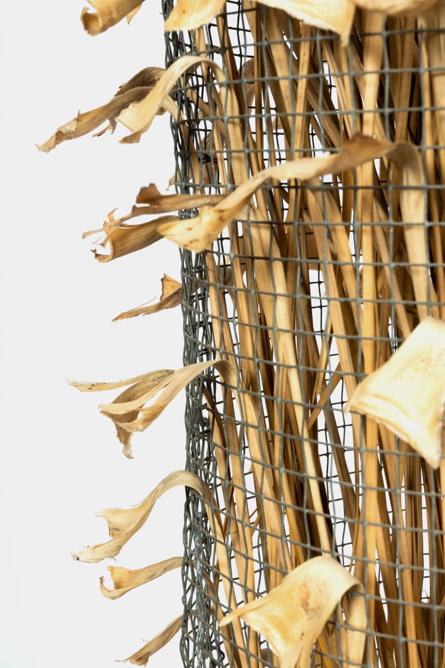Kenzi Shiokava, Untitled, 2005