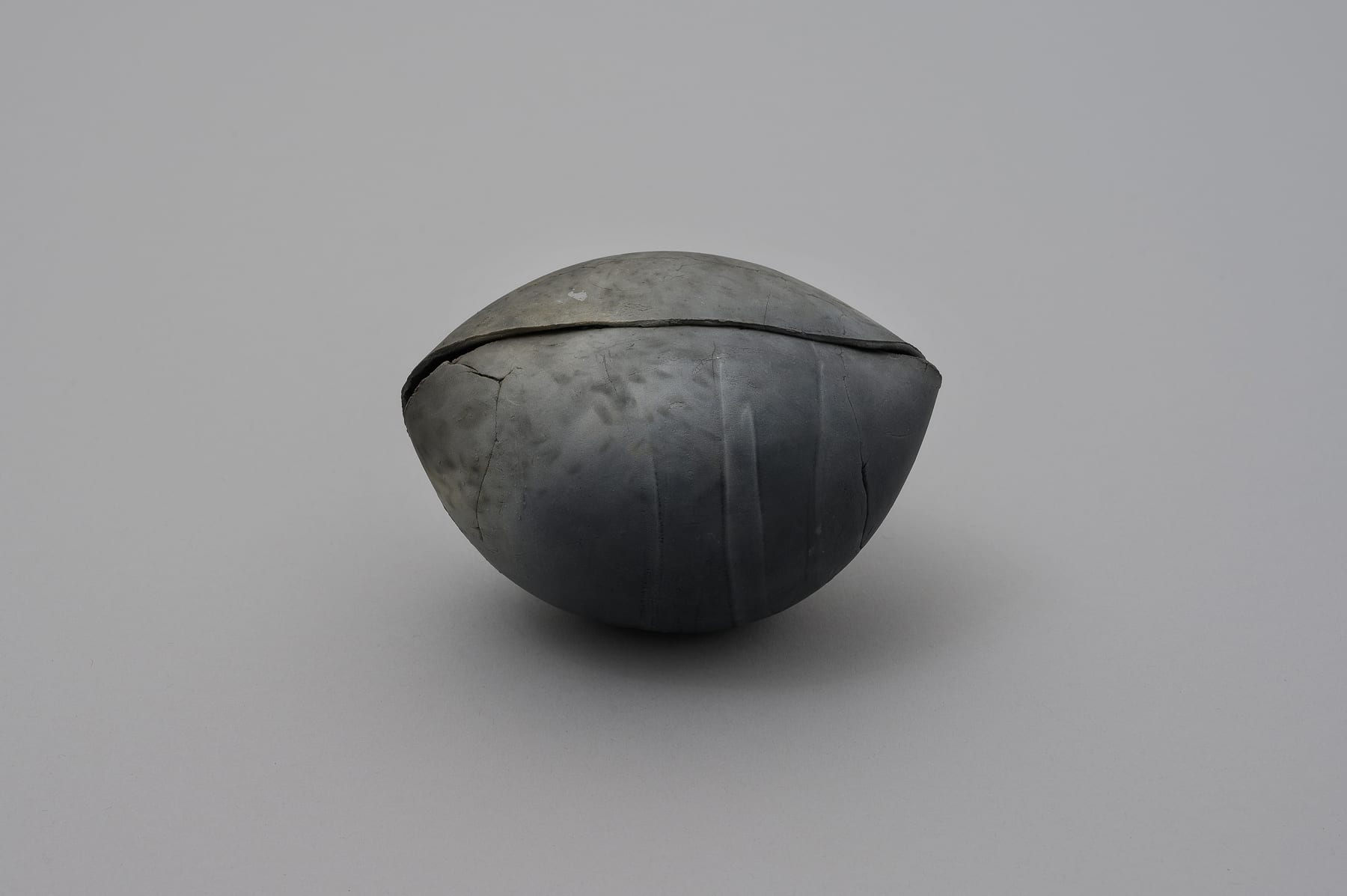 Keita Matsunaga, 蛻-Void-Monuke, 2018