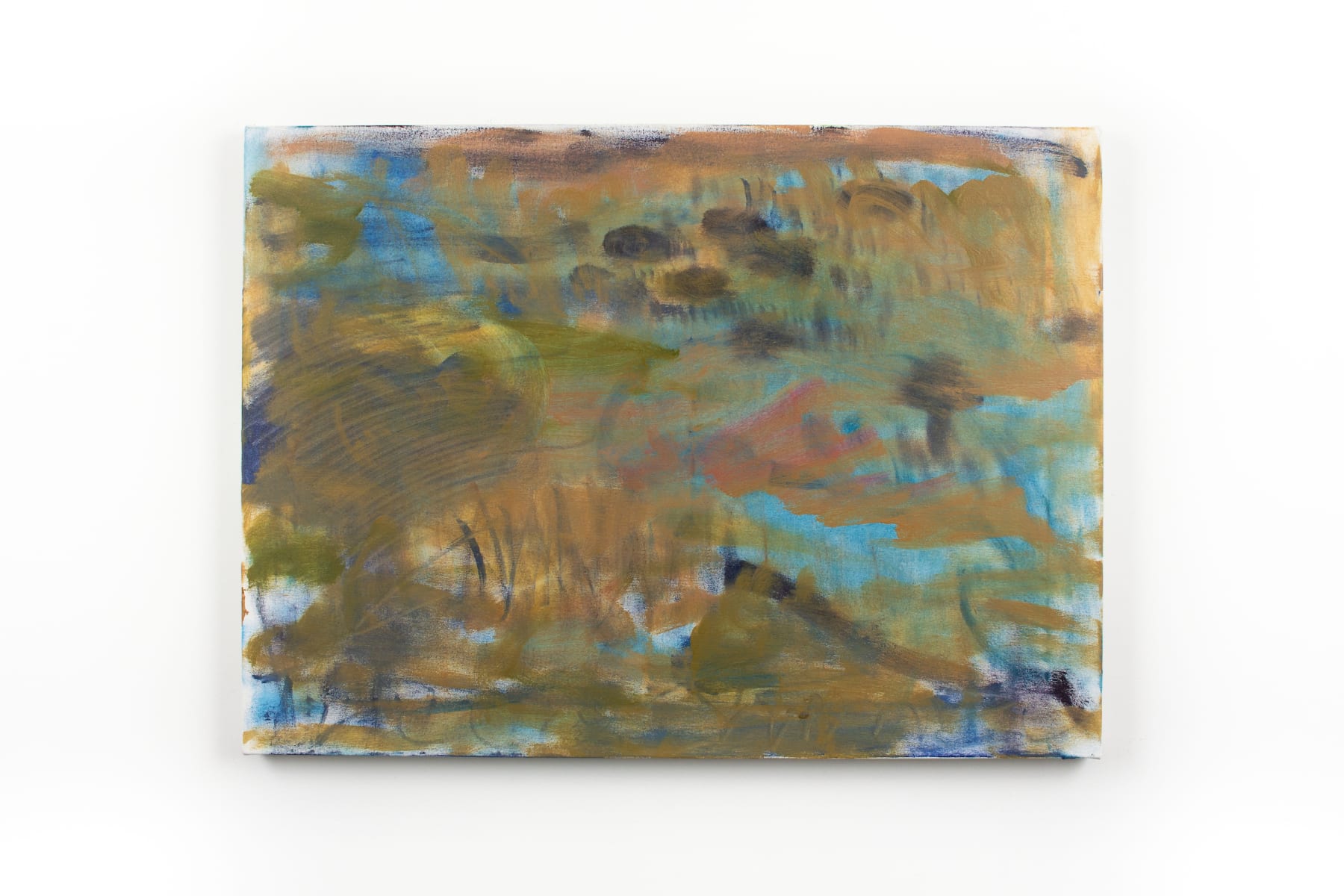 Trevor Shimizu, Marsh Small (1), 2019