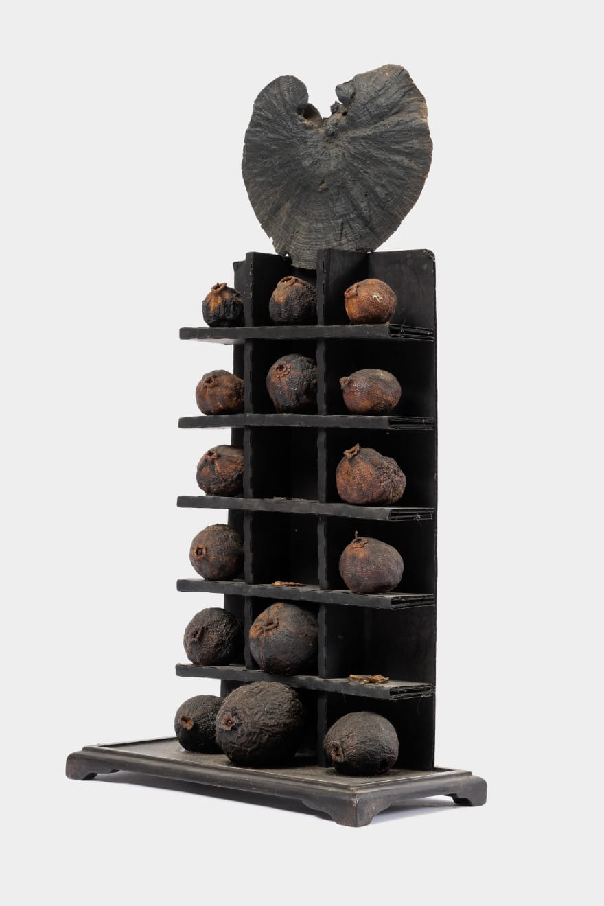 Kenzi Shiokava, Sources, 1969