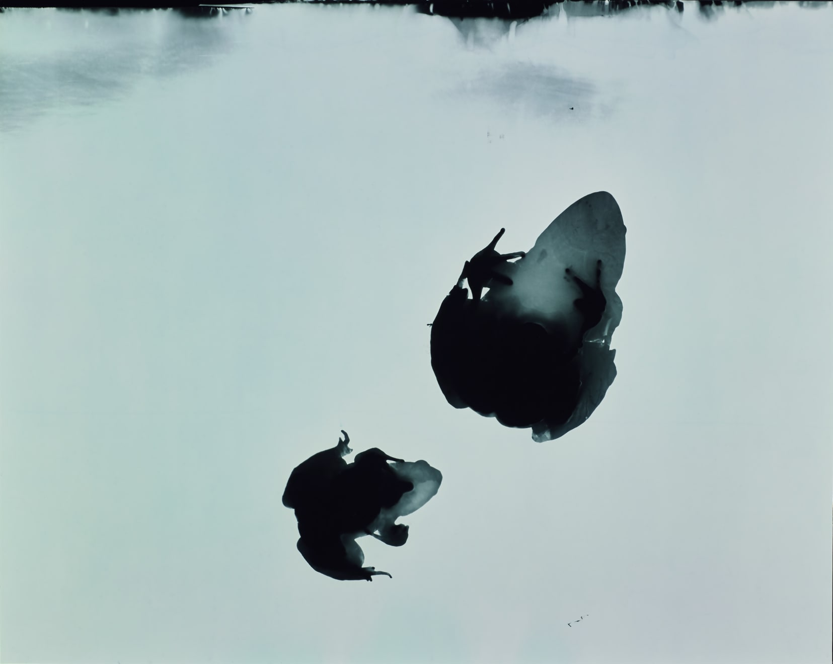 Kunié Sugiura, Hoppings L Test 2, 1997