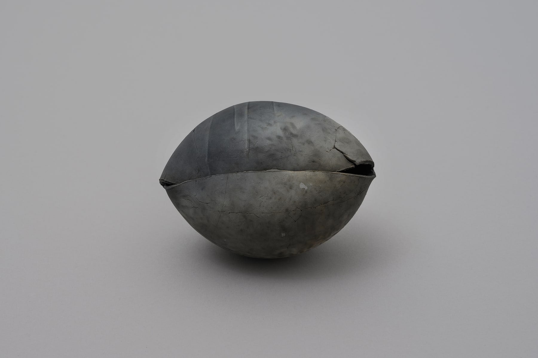 Keita Matsunaga, 蛻-Void-Monuke, 2018