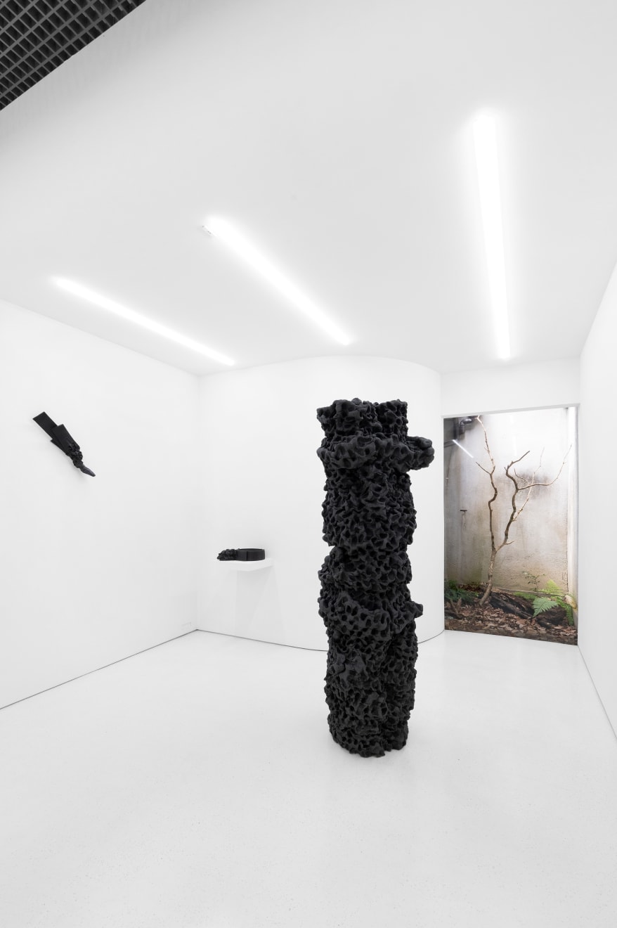 Satoru Hoshino, Frozen Cloud No. 2 / 凍雲 No.2, 2001