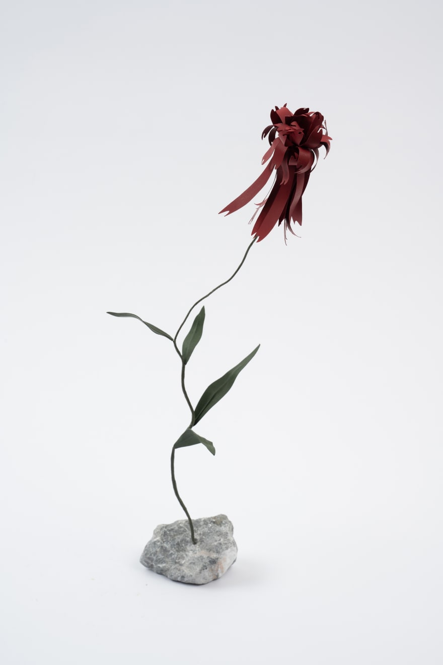 Megumi Shinozaki, Echinacea, 2023