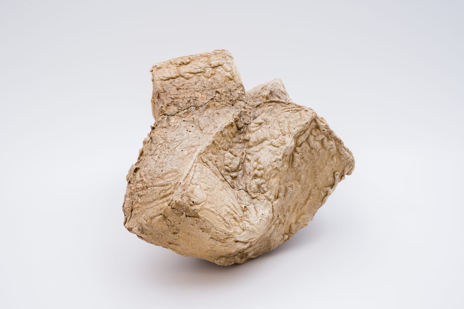Keita Matsunaga, Cocoon, 2021