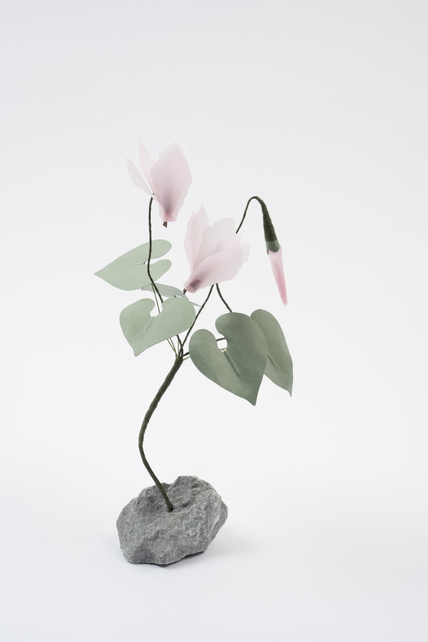 Megumi Shinozaki, Cyclamen, 2023
