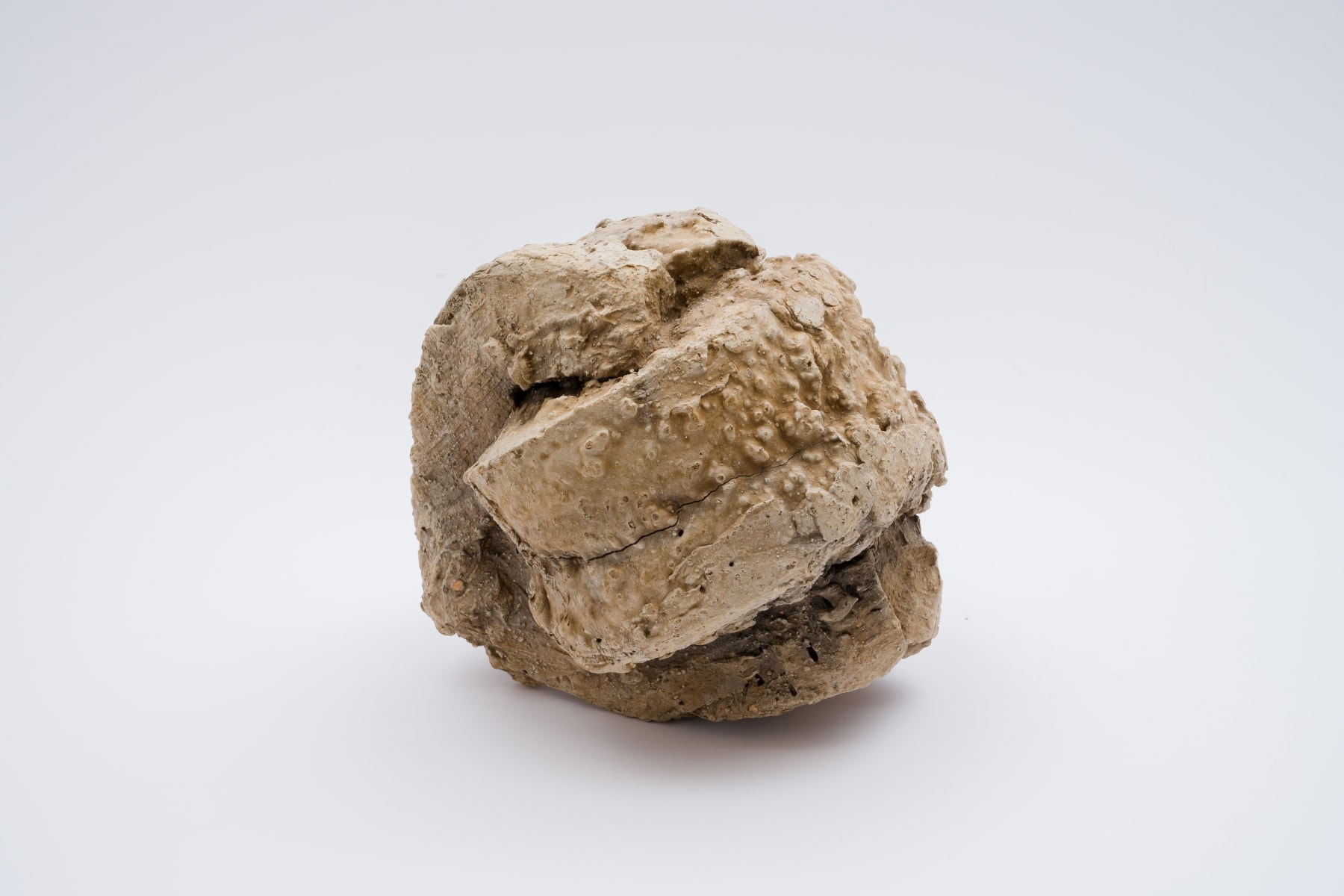 Keita Matsunaga, Cocoon, 2021